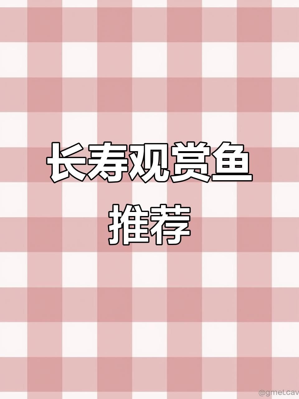 長壽龍魚