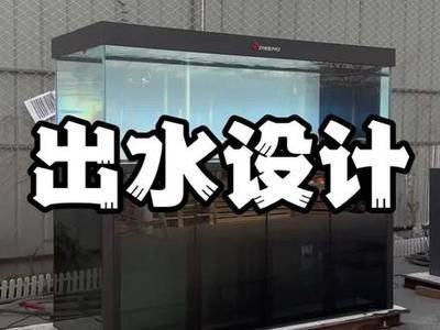 1.8米龍魚缸什么樣得出水口好呢視頻（1.8米的龍魚缸出水口設計應該考慮到位置和方向和方向）
