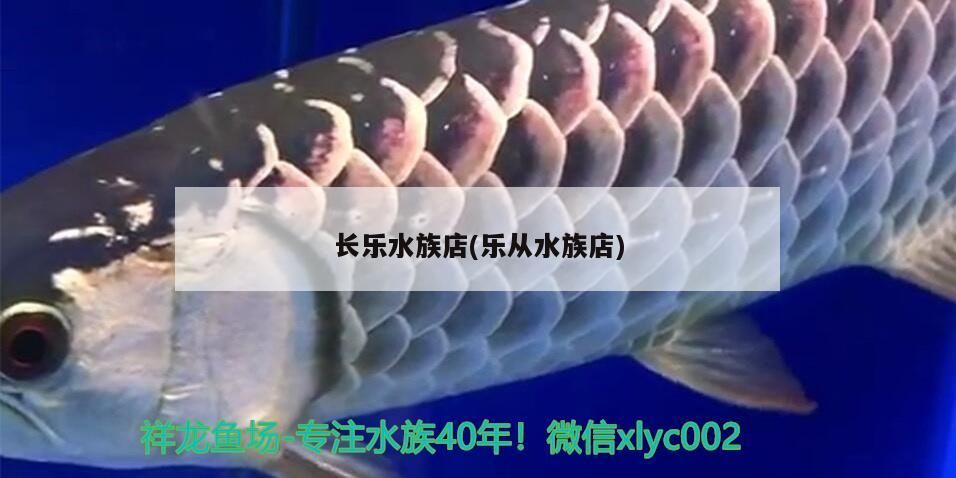 長(zhǎng)樂水族店(樂從水族店)