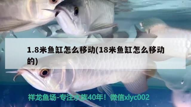 1.8米魚缸怎么移動(dòng)(18米魚缸怎么移動(dòng)的)