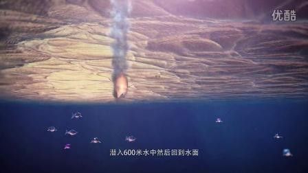 大道龍魚全集免費(fèi)播放