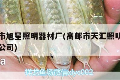 高郵市旭星照明器材廠(高郵市天匯照明器材有限公司)