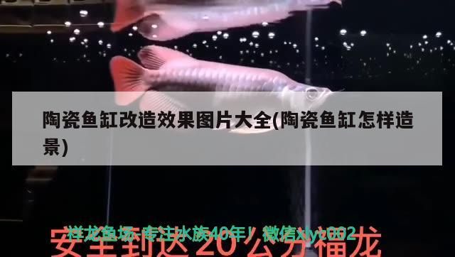 魚缸用增氧泵價(jià)格是多少:魚缸增氧機(jī)-xtrac增氧機(jī)-xtrac增氧機(jī) 陶瓷魚缸改造效果圖片大全(陶瓷魚缸怎樣造景) 觀賞魚百科 陶瓷魚缸改造效果圖片大全(陶瓷魚缸怎樣造景) 陶瓷魚缸改造效果圖片大全(陶瓷魚缸怎樣造景) 觀賞魚百科