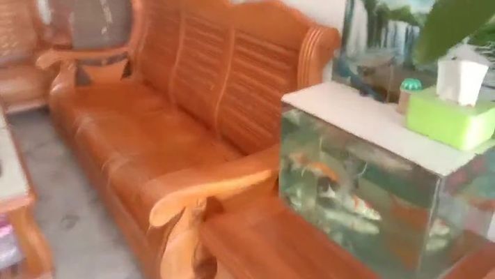 血金龍魚圖片大全高清(金龍魚圖片大全圖片高清)