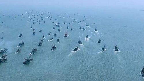嵐山龍魚 嵐山龍魚 觀賞魚百科 第7張