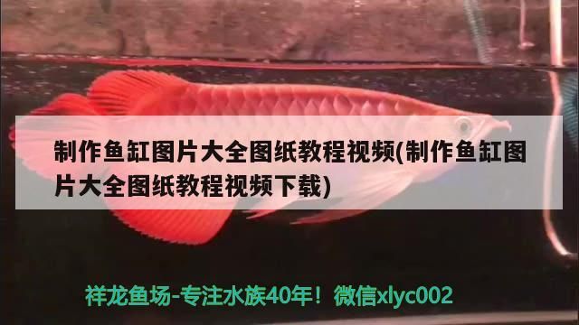 制作魚缸圖片大全圖紙教程視頻(制作魚缸圖片大全圖紙教程視頻下載)