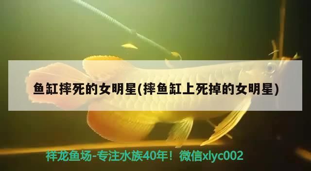 魚缸摔死的女明星(摔魚缸上死掉的女明星)