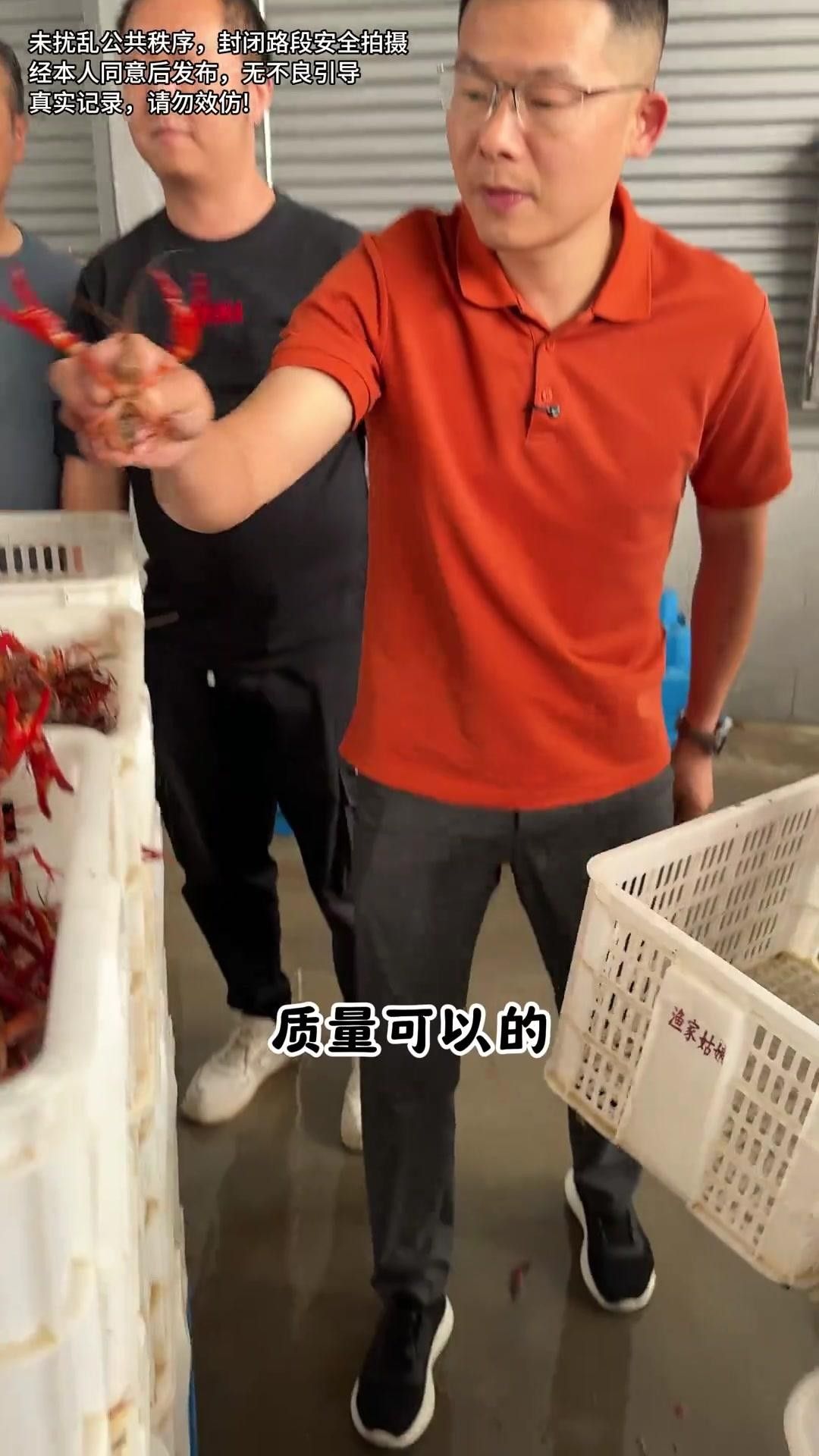 南縣小龍蝦網紅店 南縣小龍蝦網紅店 觀賞魚百科 第10張