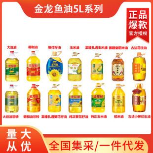 龍魚掉魚鱗怎么辦啊（龍魚掉魚鱗怎么辦啊）