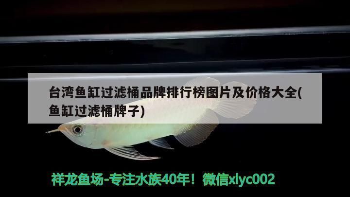 臺灣魚缸過濾桶品牌排行榜圖片及價格大全(魚缸過濾桶牌子)