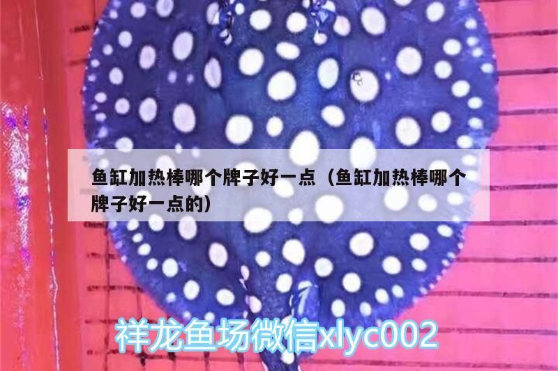 魚缸加熱棒哪個牌子好一點（魚缸加熱棒哪個牌子好一點的）