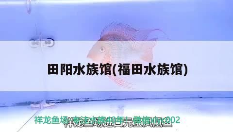 田陽水族館(福田水族館)
