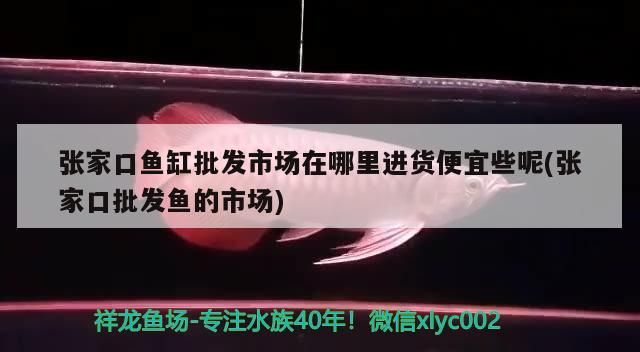 張家口魚缸批發市場在哪里進貨便宜些呢(張家口批發魚的市場)