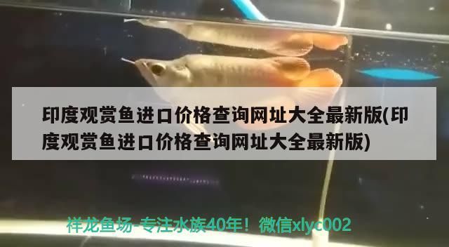 印度觀賞魚進口價格查詢網址大全最新版(印度觀賞魚進口價格查詢網址大全最新版)