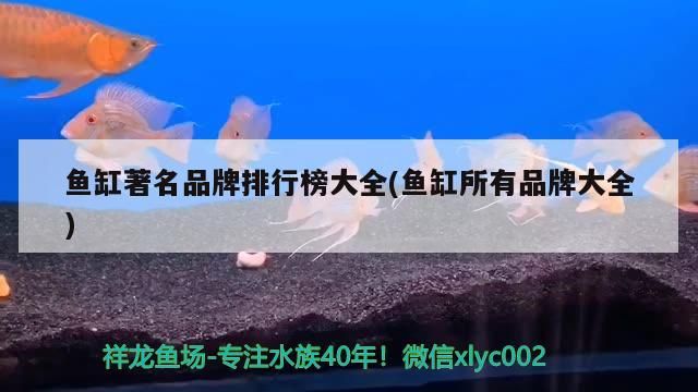 魚(yú)缸著名品牌排行榜大全(魚(yú)缸所有品牌大全)