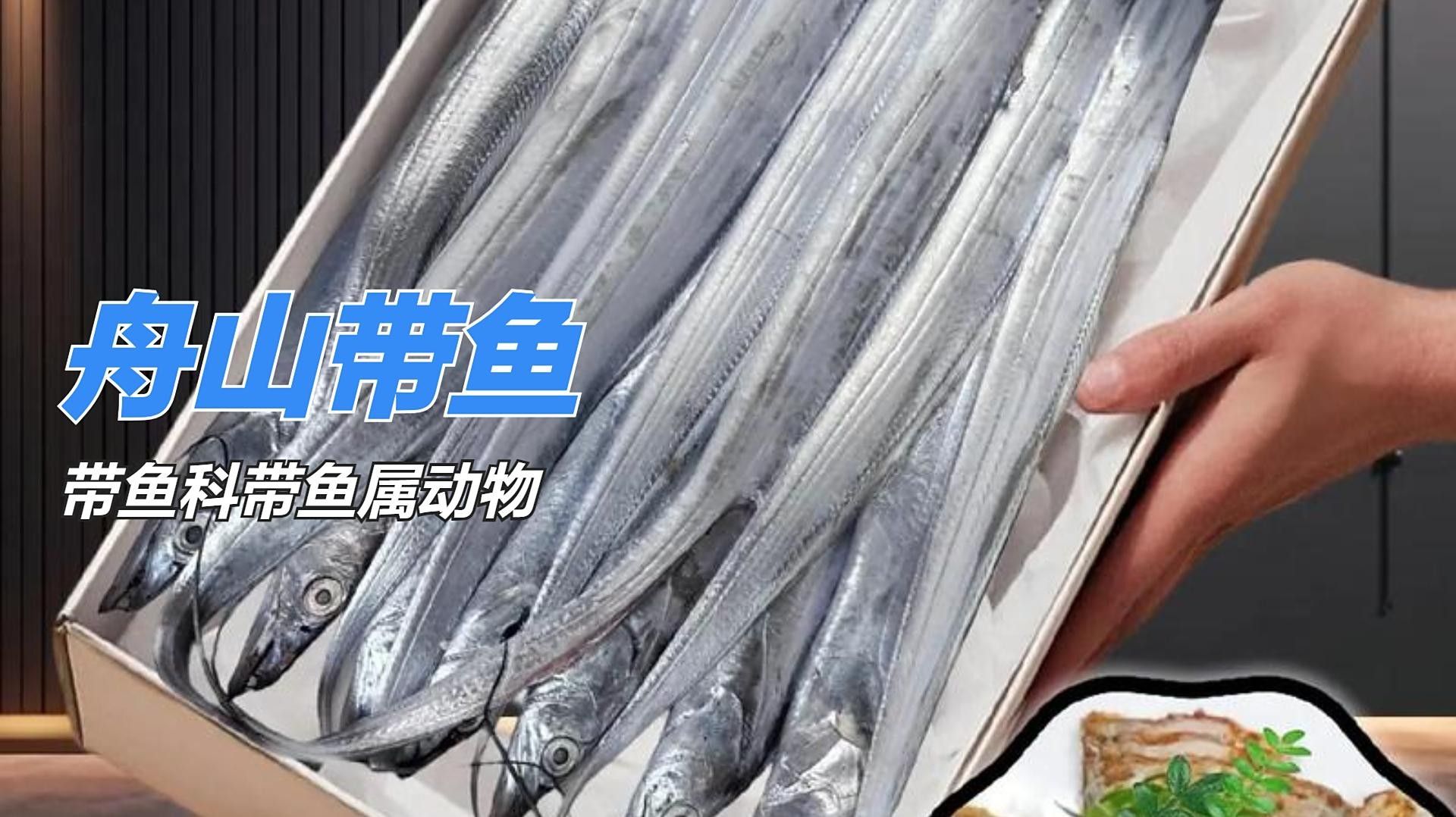 <strong><mark>舟山</mark></strong>產什么魚