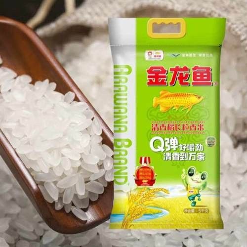 金龍魚東北