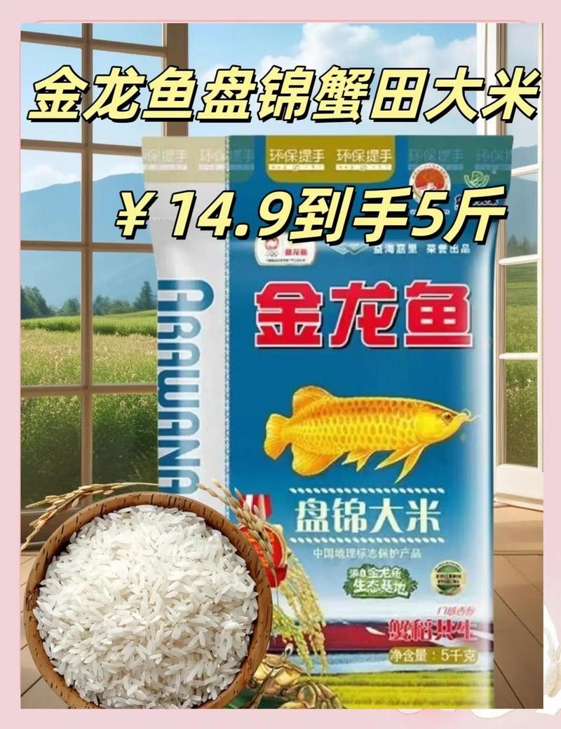 金龍魚東北