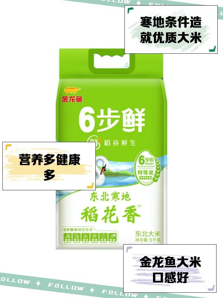 金龍魚東北