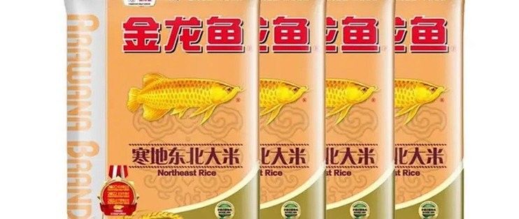 金龍魚東北