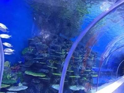 綿陽(yáng)水族館：綿陽(yáng)水族館綿陽(yáng)水族館綿陽(yáng)水族館綿陽(yáng)水族館