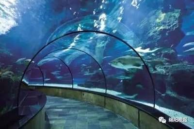 綿陽(yáng)水族館：綿陽(yáng)水族館綿陽(yáng)水族館綿陽(yáng)水族館綿陽(yáng)水族館