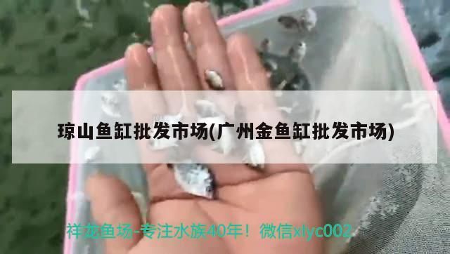 瓊山魚缸批發市場(廣州金魚缸批發市場)