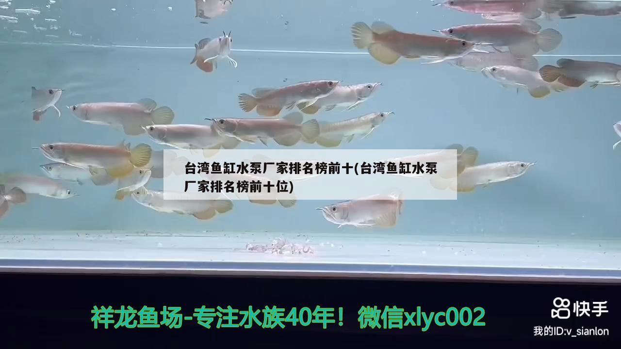 臺灣魚缸水泵廠家排名榜前十(臺灣魚缸水泵廠家排名榜前十位) 臺灣魚缸水泵廠家排名榜前十(臺灣魚缸水泵廠家排名榜前十位) 觀賞魚百科