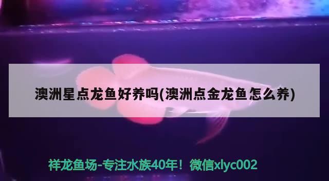 幻彩藍寶石和幻彩藍寶石哪個好，幻彩紅寶石和幻彩藍寶石哪個好