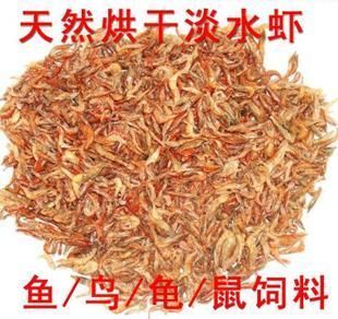 濱州龍魚專賣店：濱州哪里賣魚缸的多些地方