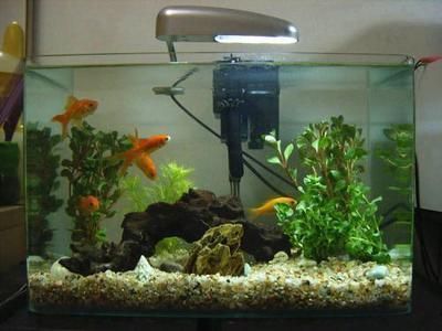 1.8米龍魚缸一天耗電量多少度正常（龍魚缸的耗電量主要取決于以下幾個因素有所不同）
