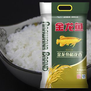如何正確養護福龍魚（-如何正確養護福龍魚健康和活力）