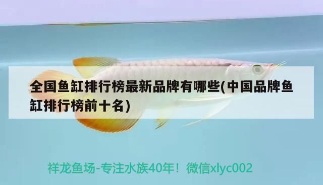 全國魚缸排行榜最新品牌有哪些(中國品牌魚缸排行榜前十名)