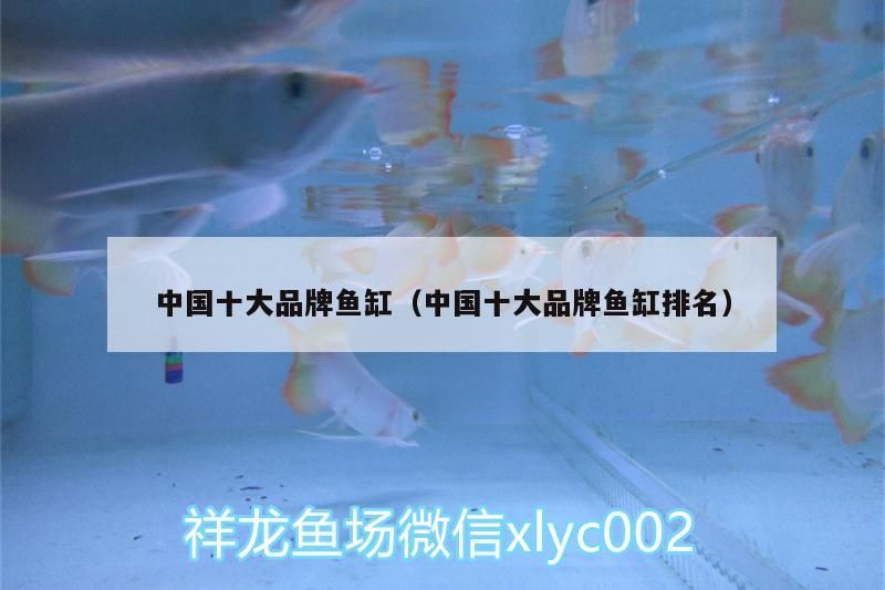 龍魚 中國十大品牌魚缸(中國十大品牌魚缸排名) 觀賞魚百科 中國十大品牌魚缸(中國十大品牌魚缸排名) 中國十大品牌魚缸(中國十大品牌魚缸排名) 觀賞魚百科
