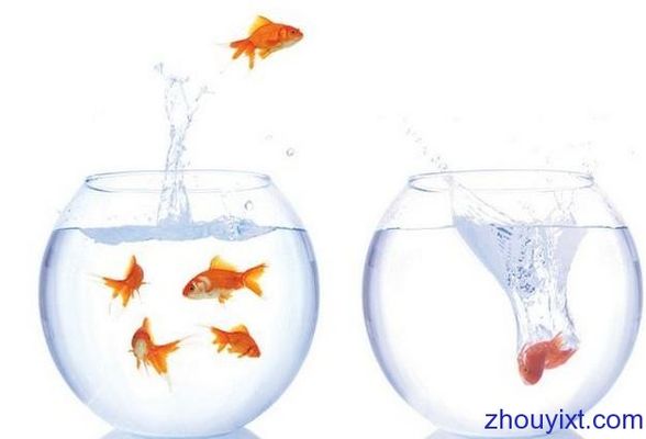 龍魚換水后身上白色（換水后龍魚身上有白絲）