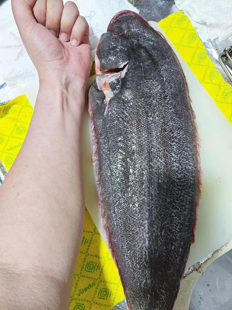龍魚能吃熟肉嗎圖片 觀賞魚百科 第5張 龍魚能吃熟肉嗎圖片 龍魚能吃熟肉嗎圖片 觀賞魚百科 第5張