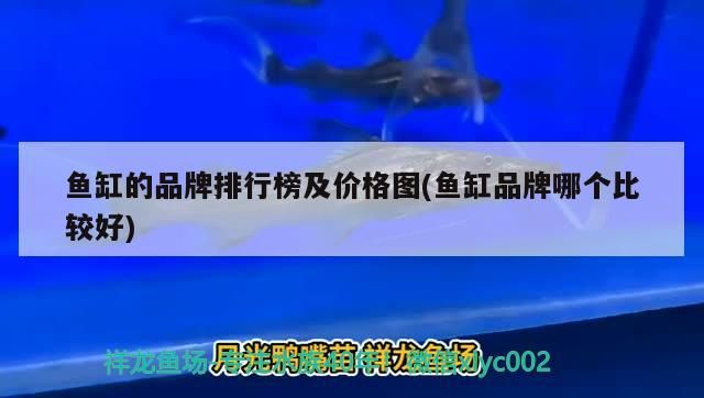 魚缸的品牌排行榜及價格圖(魚缸品牌哪個比較好)