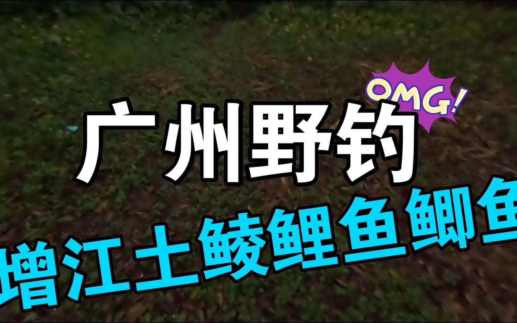 增城增江河有什么魚 增城增江河有什么魚 觀賞魚百科 第3張