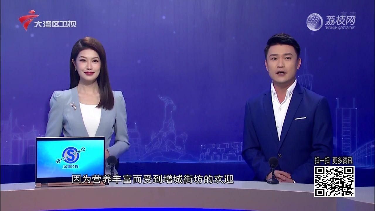 增城增江河有什么魚 增城增江河有什么魚 觀賞魚百科 第1張