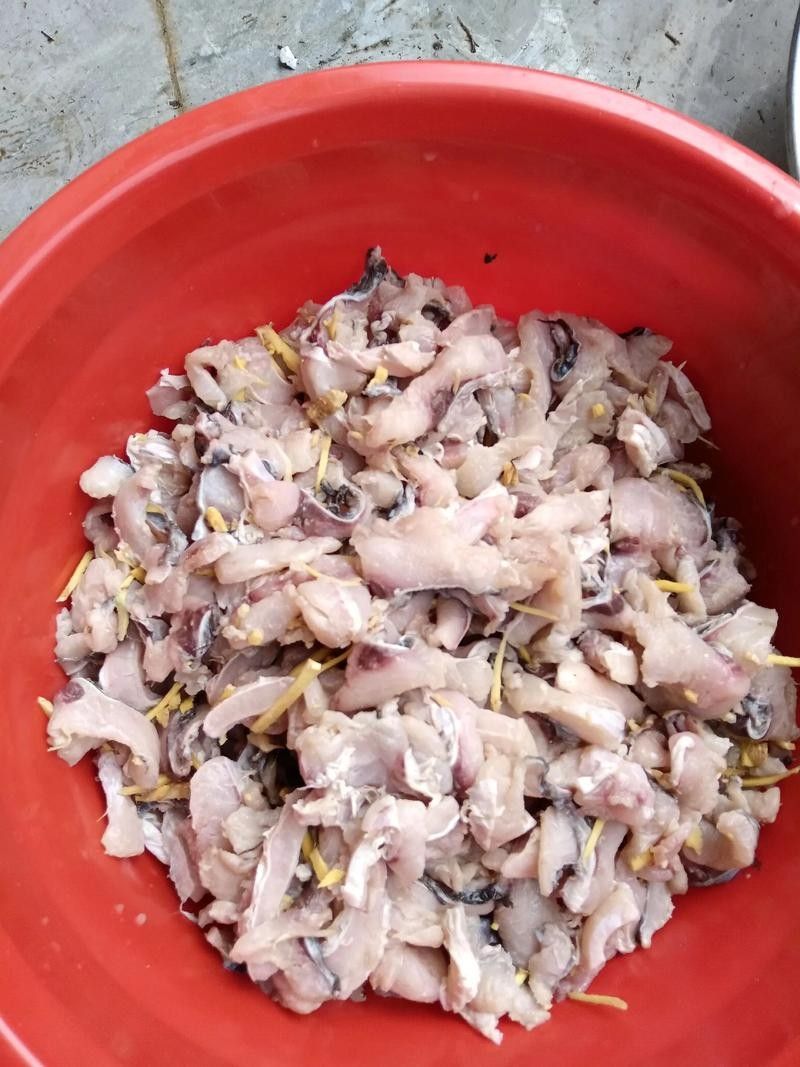 廣西橫縣魚生圖片