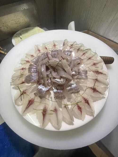 廣西橫縣魚生圖片