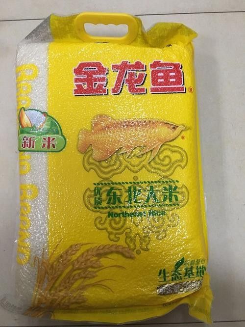 綏寧金龍魚