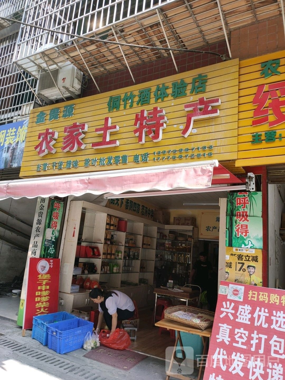 綏寧金龍魚