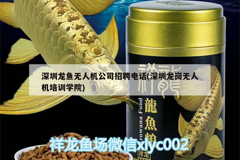 深圳龍魚無人機公司招聘電話(深圳龍崗無人機培訓學院)