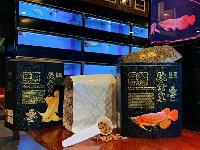 龍魚之家是不是雜牌子