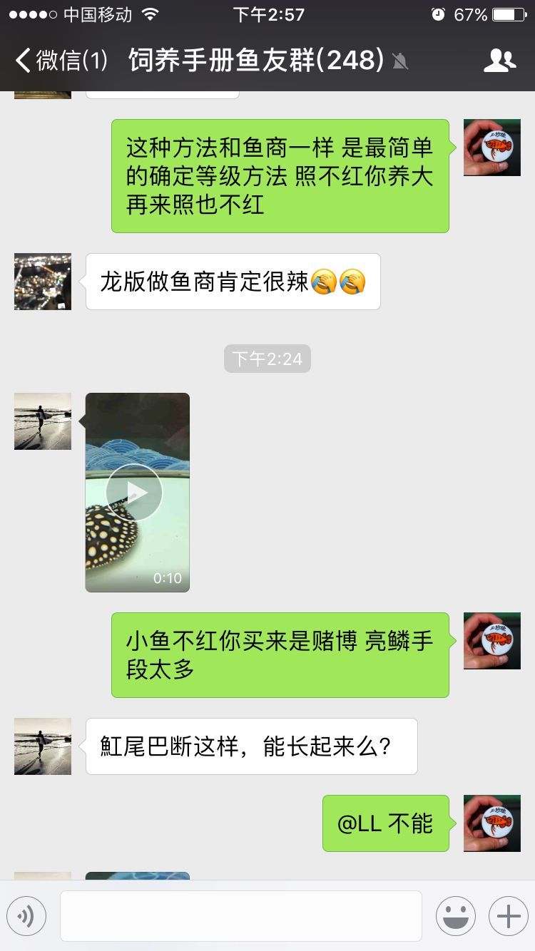 臨潼水族館飼養手冊魚友群聊天分享 臨潼水族館飼養手冊魚友群聊天分享 觀賞魚百科 第4張