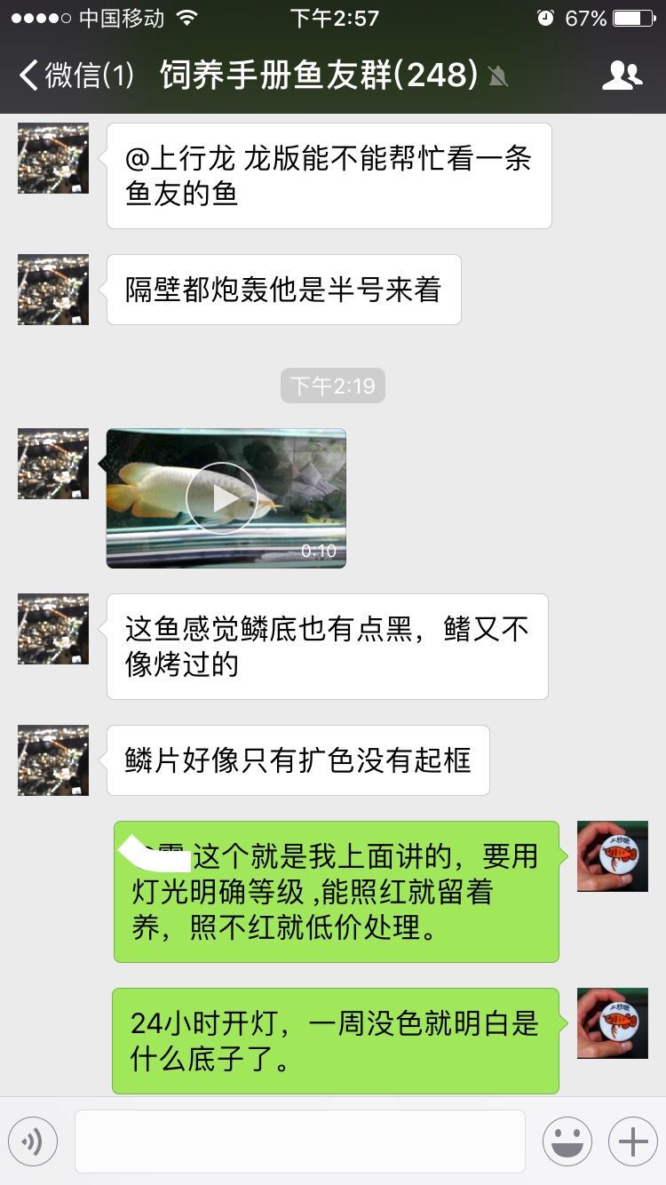 臨潼水族館飼養手冊魚友群聊天分享 臨潼水族館飼養手冊魚友群聊天分享 觀賞魚百科 第3張