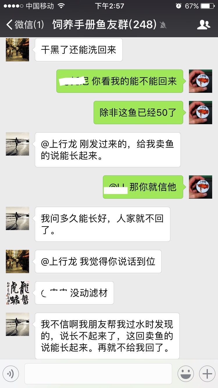 臨潼水族館飼養手冊魚友群聊天分享 臨潼水族館飼養手冊魚友群聊天分享 觀賞魚百科 第5張