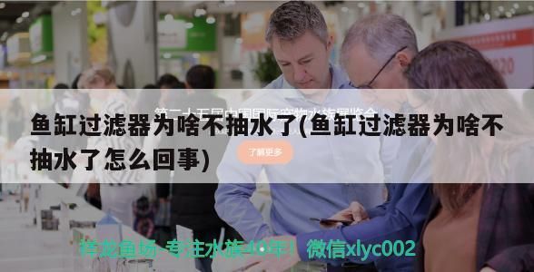 荊州水族批發市場在哪里進貨（荊州市水產批發在哪里）