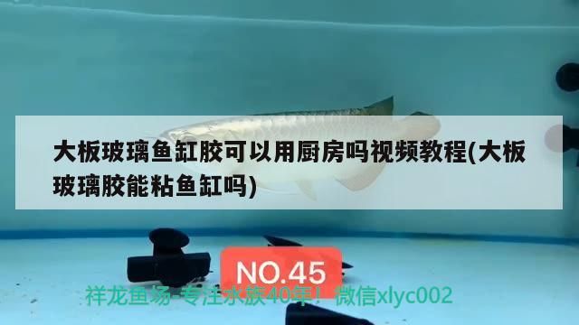 大板玻璃魚缸膠可以用廚房嗎視頻教程(大板玻璃膠能粘魚缸嗎)